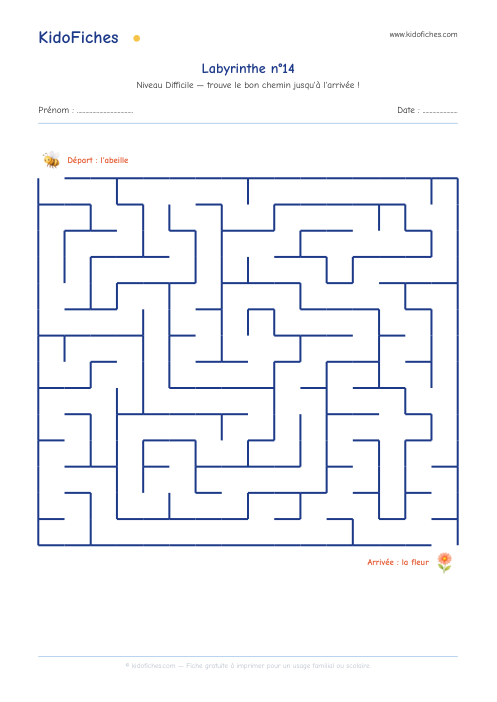 Aperçu réel de la fiche Labyrinthe n°14 (Difficile)