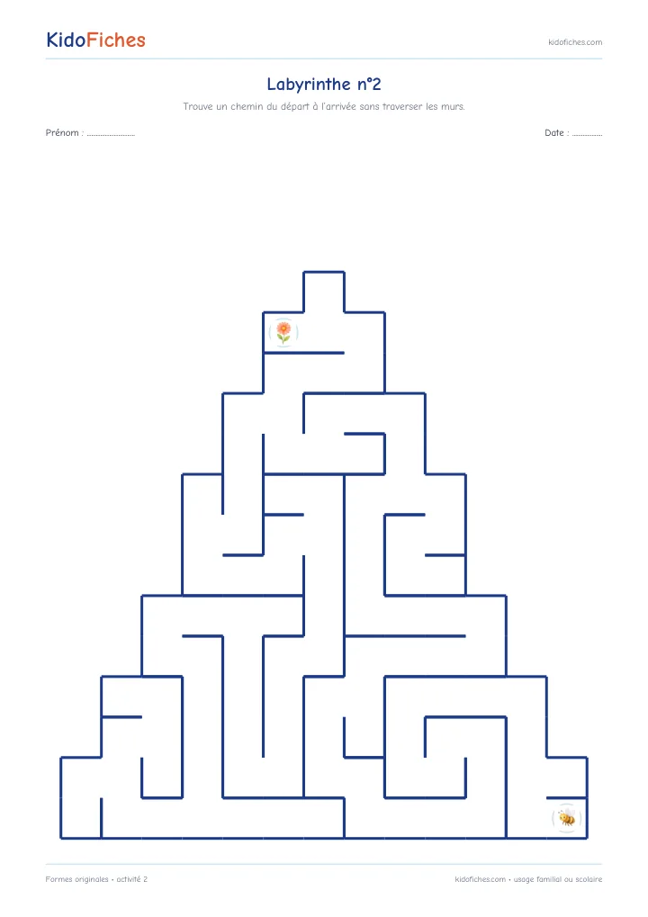 Activité 2 — Formes originales