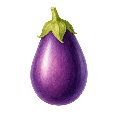 Aubergine