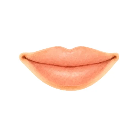 bouche