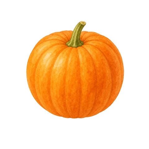Illustration du mot citrouille