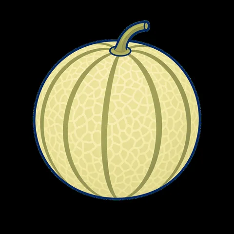 Illustration du mot melon