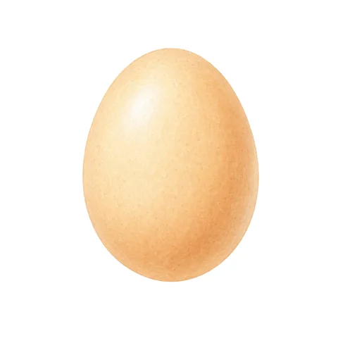 Illustration du mot œuf