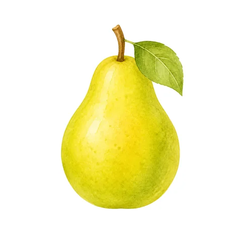 Illustration du mot poire